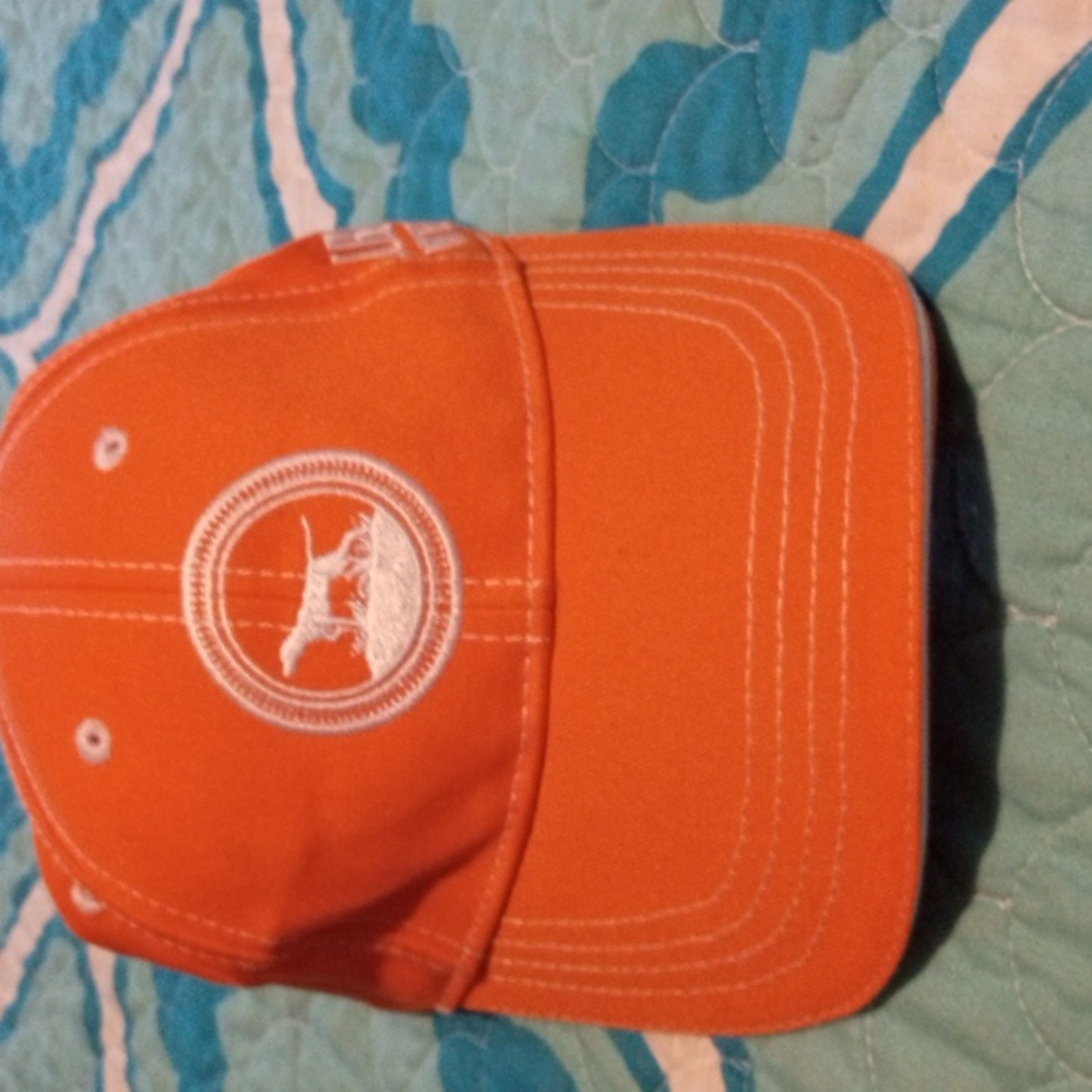 Cap-Bird dog whiskey Cap